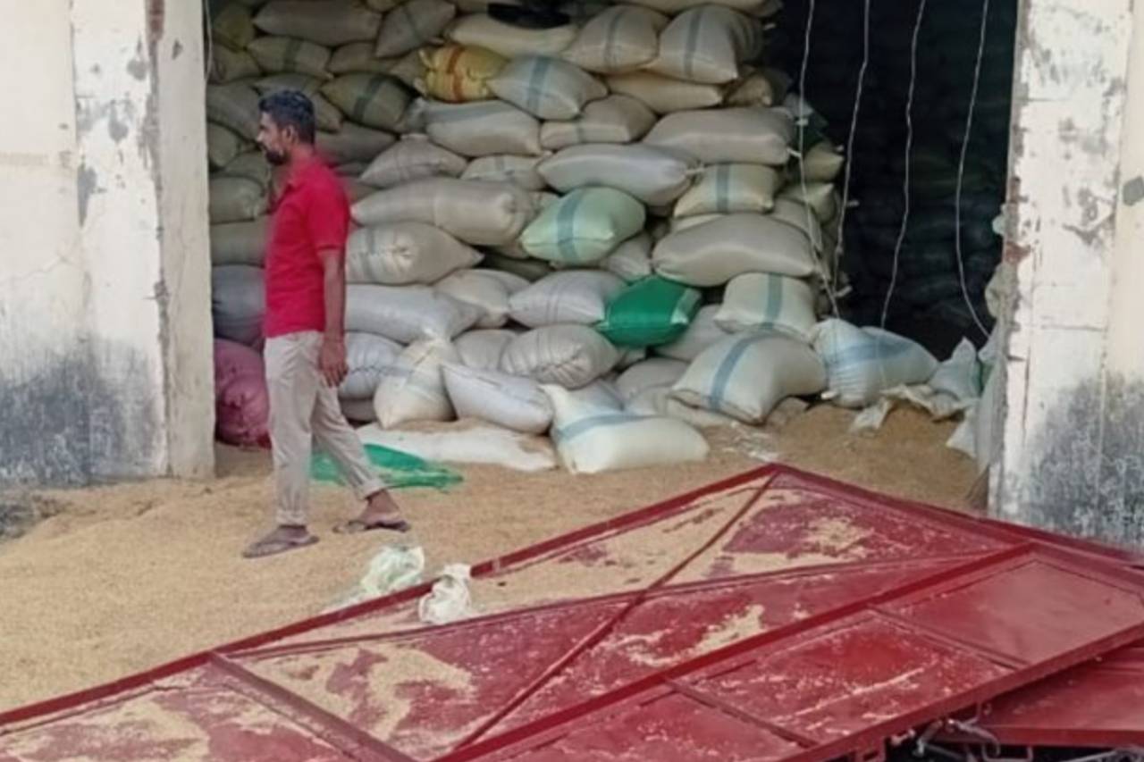 වන අලිගෙන් වැලිකන්ද වී අලෙවි මණ්ඩලයට ප්රහාරයක්
