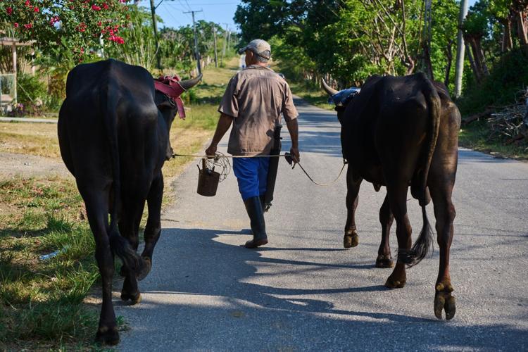 Cuban Farmers Struggle Under US Energy Blockade