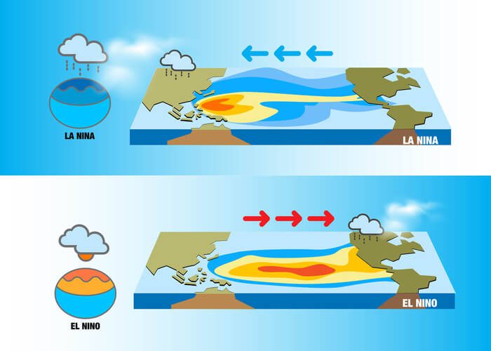 El Niño and Its Global Ripple