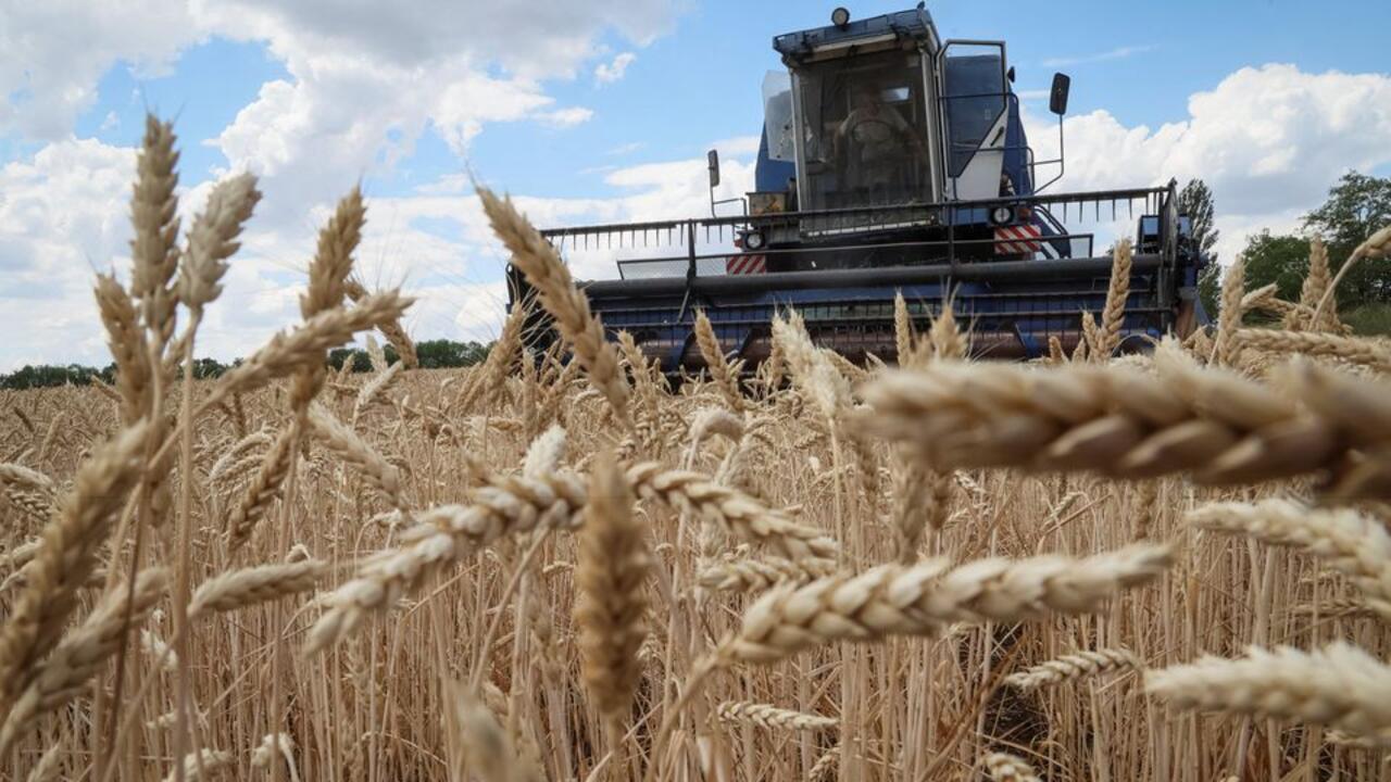 France Faces ‘Public Health Time Bomb’ from Cadmium Pollution
