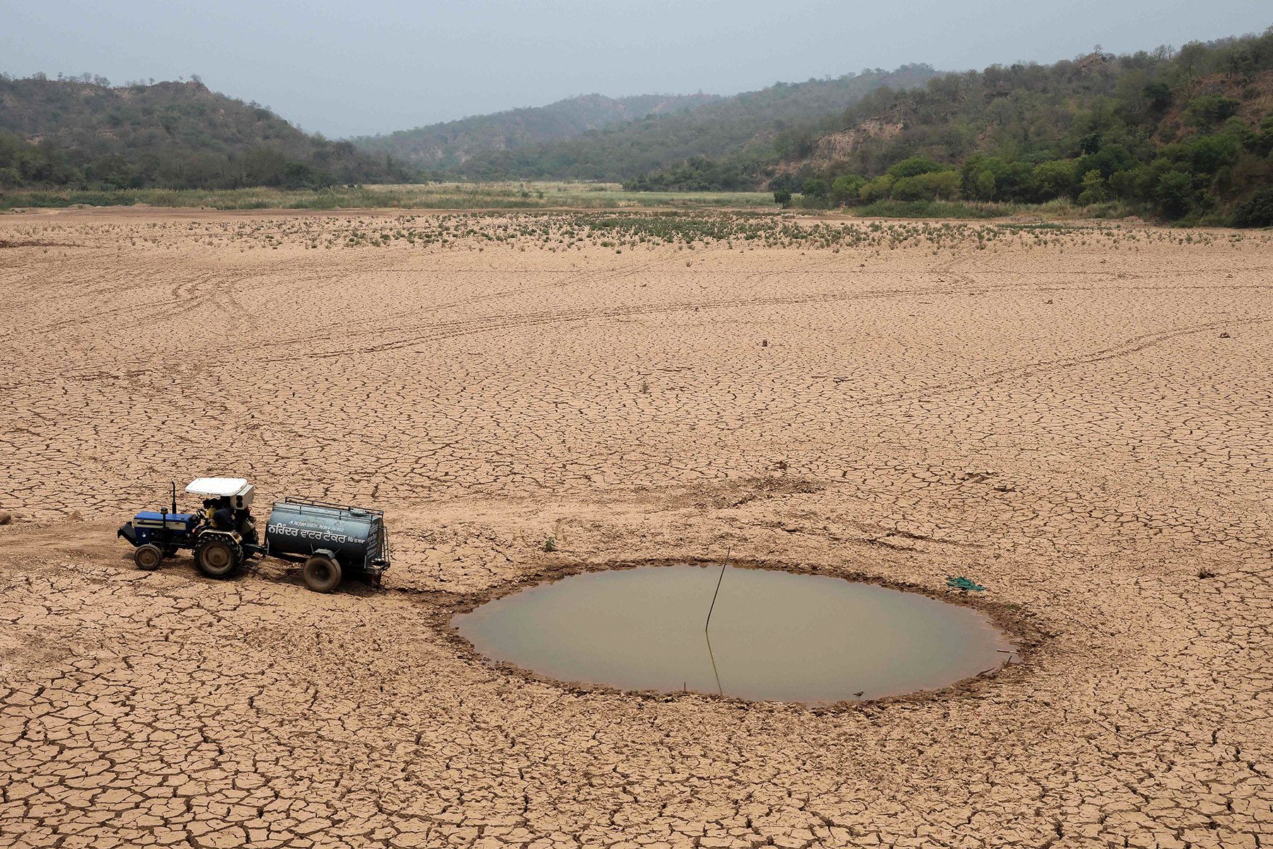 Asia’s Crops Scorched as Heatwave Intensifies